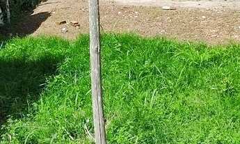 Imagem 3: Terreno Terreno / lote com venda por R$30.500