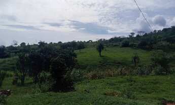 Imagem 4: Chácara 3.000 metros 1 km asfalto
