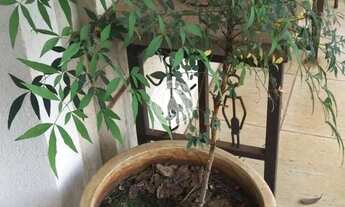 Imagem 7: Apartamento com 3 quartos sendo 3 suítes para venda, 228m² - Centro