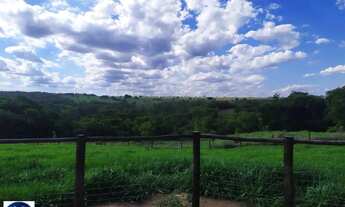 Imagem 7: Fazenda à Venda em Morrinhos (GO) 128 Hectares - Estrutura Completa