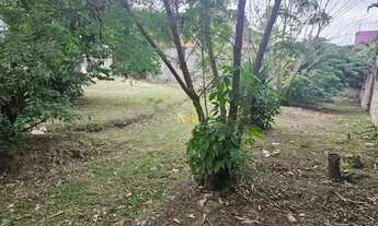 Imagem 7: Terreno Residencial à Venda - Gardênia Azul - 392 m² com Vista Livre e Sol da Manhã no Con