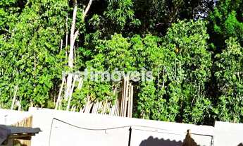 Imagem 4: Venda Casa em condomínio Arraial D Ajuda Porto Seguro