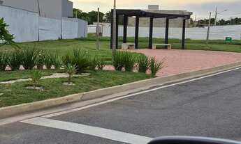 Imagem 5: Florais Esmeralda