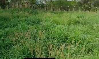 Imagem 4: Oportunidade localização privilegiada para venda Chácara