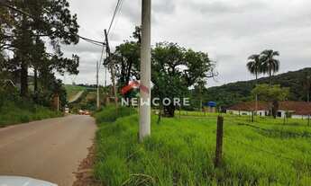 Imagem: Lote em Avenida Carvalho - Vitória Régia