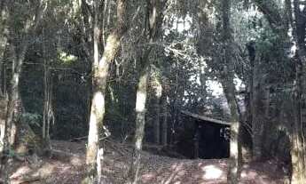 Imagem 2: Lindo sítio 15 x 60 = 900m2 c/ Galpão 90m2 (requer reparos