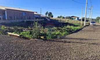 Imagem 3: Terreno de Oportunidade em Três Palmeiras