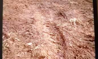 Imagem 5: Vende lote quitado