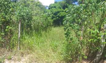 Imagem 3: Venda-se está propriedade de quase 1 alqueires no Município de Atílio Vivácqua-ES