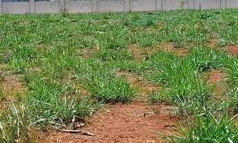 Imagem 2: Vendo lote no residencial Alville- Indiara Go