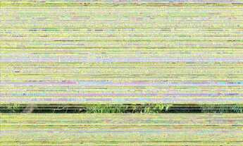 Imagem 4: Sitio com 7,5 hectares em Porangaba-SP