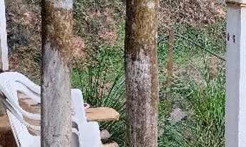 Imagem 6: Excelente chácara para descansar e curtir a natureza