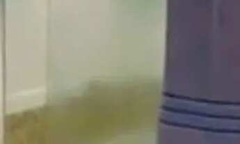 Imagem 6: Apartamento a venda em Tambaú - AP10889