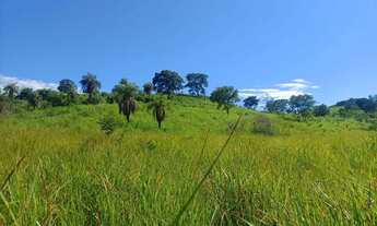 Imagem 7: SITIO EM RIANAPOLIS 2.5 ALQUEIRES