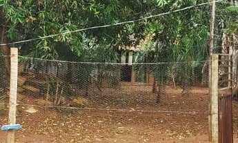 Imagem 4: Chácara de 2 alqueires e meio- Itaberai