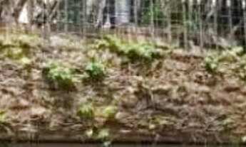 Imagem 2: CASA SOBREPOSTA - LAPA - SP