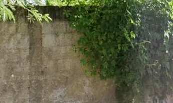 Imagem: Lote plano, todo murado, no bairro João