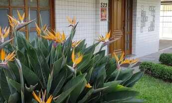 Imagem 2: Cobertura em Rua Dona Adda Mascarenhas de Moraes - Jardim Itu - Porto Alegre/RS