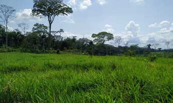 Imagem 3: Vendo colônia em Sena Madureira
