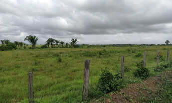 Imagem: 2.500 hectares terra pra cria vacas por