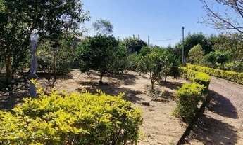 Imagem 7: Sítio espetacular condomínio rancho alegre Águas Claras, todo c/ paisagismo