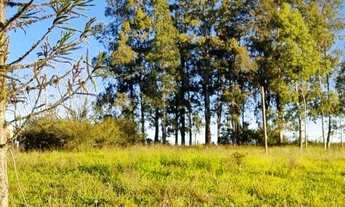 Imagem 6: Sítio 4 hectares com açude em Águas claras, oportunidade!