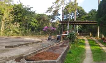 Imagem: Fazenda de 25 alqueires Região Pedra Azul