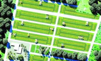 Imagem 4: PARACURU- LOTEAMENTO ABERTO