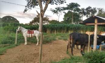 Imagem 7: Chácara para venda em Corumbá de Goiás - Goiás