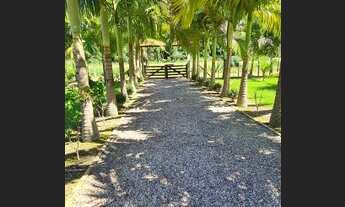 Imagem 5: Ótima chácara a venda em Canelinha SC!!!