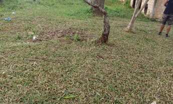 Imagem 7: Sítio com casa de alvenaria em rua sem saída, perto asfalto, Águas Claras