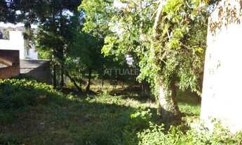 Imagem 3: Terreno Medianeira