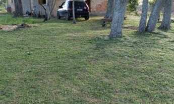 Imagem: Sítio com casa de alvenaria em rua sem