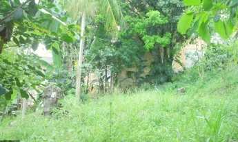 Imagem 2: Terreno-para-Venda-em-Sao-Sebastiao-Palhoca-SC