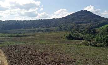 Imagem 2: Fazenda de 63ha, ótima para plantio, com várias nascentes em Otacílio Costa
