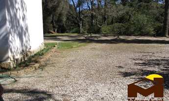 Imagem 7: Chácara com nascentes dentro da cidade