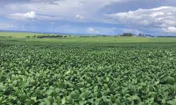 Imagem 7: Fazenda de 627 alq ou 3036 ha em Serranópolis-Go