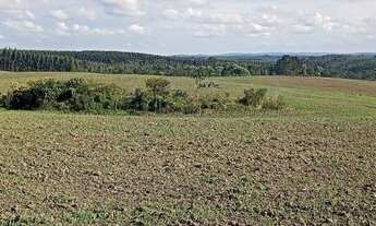 Imagem: Fazenda de 63ha, ótima para plantio, com