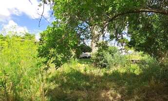 Imagem 4: Lote/Terreno para venda possui 619 metros quadrados em Centro - Santa Vitória do Palmar