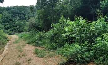 Imagem 7: Villa Capua, terrenos por apenas $25 mil reais, super promoção! venha conferir