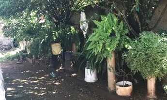 Imagem 3: Ótima oportunidade! Vendo imóvel no Bosque