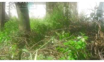 Imagem 4: Santo André - Terreno Padrão - Centro