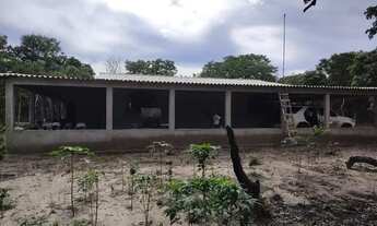 Imagem 3: SÍTIO EM MONTALVANIA 3 ECTARE,CASA COM 2 QUARTOS UMA SUITE