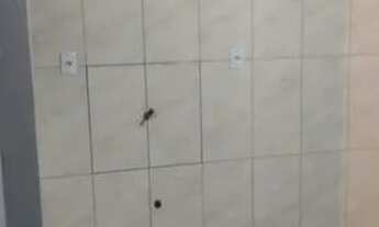 Imagem: Aluga casa de 1 quarto livre de água e