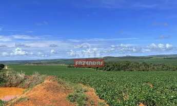 Imagem 3: Fazenda de 41 alqueires (200 hectares) em Abadiânia-GO