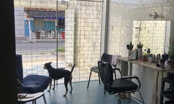 Imagem 6: Casa no Siqueira Campos