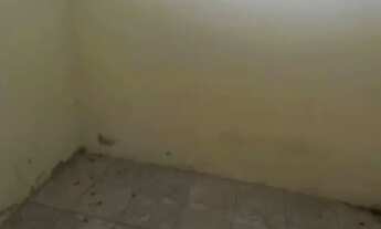 Imagem 4: Casa para Reforma em Ribeira - Salvador - BA