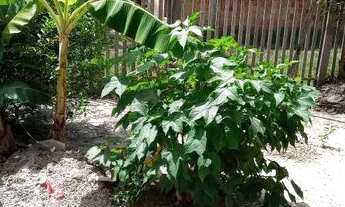 Imagem: Casa de praia 2 quartos