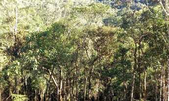 Imagem 4: Terreno com baixadão na Barreira, a 20 minutos de Visconde de Mauá, com escritura e regist