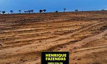 Imagem 7: Fazenda dupla aptidão aberta região de Rio Sono Tocantins